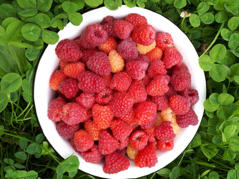 Tastes Great, No Artificial Junk