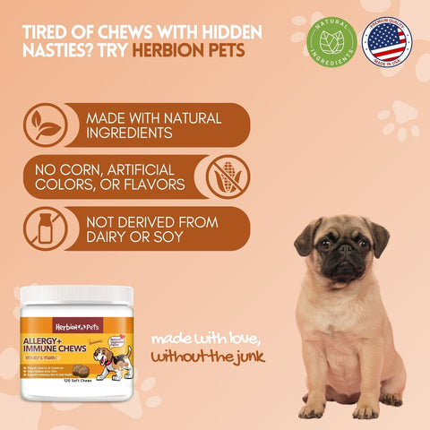Herbion Allergy+Immune Chews: Natural Ingredients, No Corn, Artificial Colors or Flavors, Not Derived from Dairy or Soy, Made in the USA