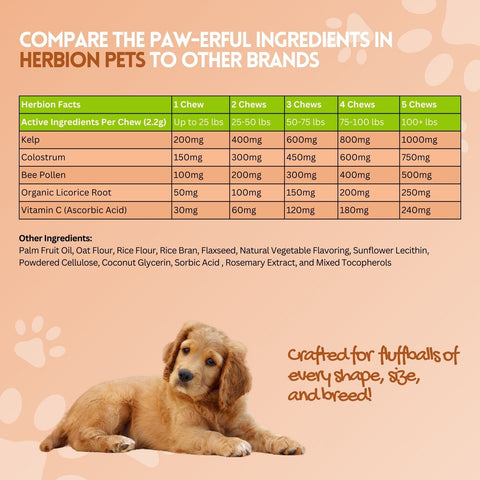 Supplement Facts of Herbion Allergy+Immune Chews 