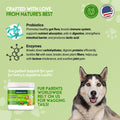 Herbion Digestive Support Dog Chews contains probiotics and digestive enzymes to support your dog's digestive health.