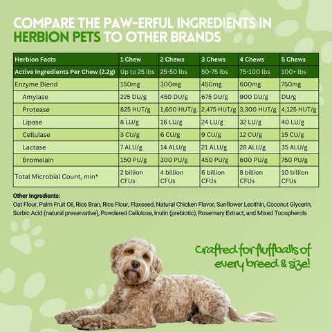 Supplement Facts of Herbion Digestive Support Dog Chews