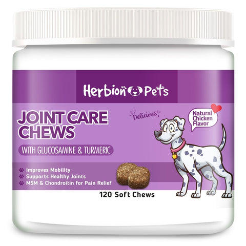 A container of Herbion Pets Joint Care Dog Chews with Glucosamine & Turmeric, featuring 120 soft chews  in Natural Chicken Flavor for dogs' hips and joints.