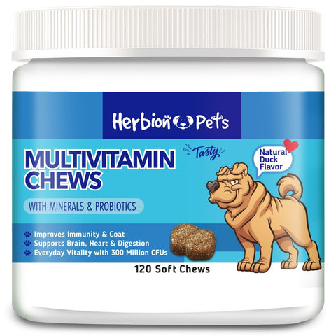 A bottle of Herbion Multivitamin Chews for dogs with minerals, vitamins, and probiotics for dog's immunity, brain, and heart health 