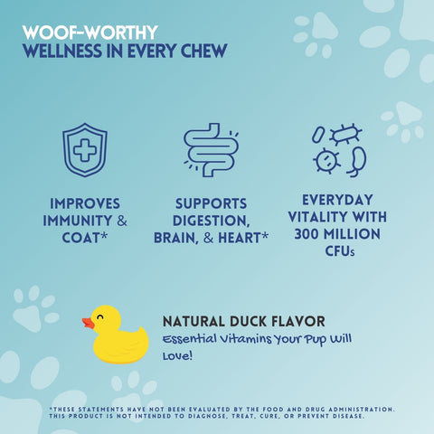 Herbion Multivitamin Dog Chews improves immunity and coat health. It supports digestion, brain, and heart health. It comes in a natural duck flavor. 