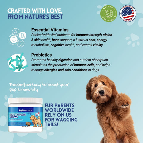 Herbion Multivitamin Dog Chews contains Multifunction Vitamin Complex, Flaxseed, YEA-SACC, Colostrum, Taurine, Vitamin C, Zinc Proteinate & Manganese Proteinate, and Probiotics Gut Health Blend