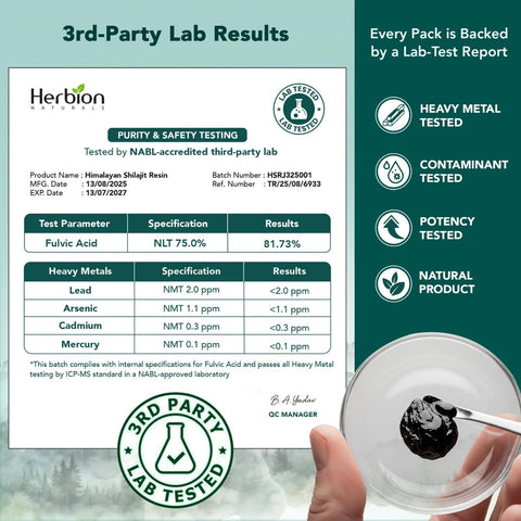 Himalayan Shilajit Resin