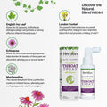 List of Herbal Ingredients in Herbion Throat Spray: Ivy Leaf, Echinacea, Marshmallow, and London Rocket