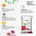 List of Herbal Ingredients of Zinc Echinacea and Vitamin C Lozenges